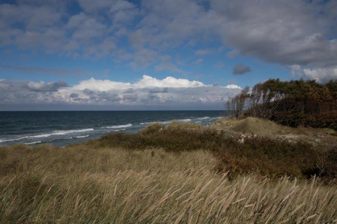 Studio 11 Im Haus Stranddistel, Modernes Studio Im 1 Og Fur 2 Personen In Zingst Esterno foto